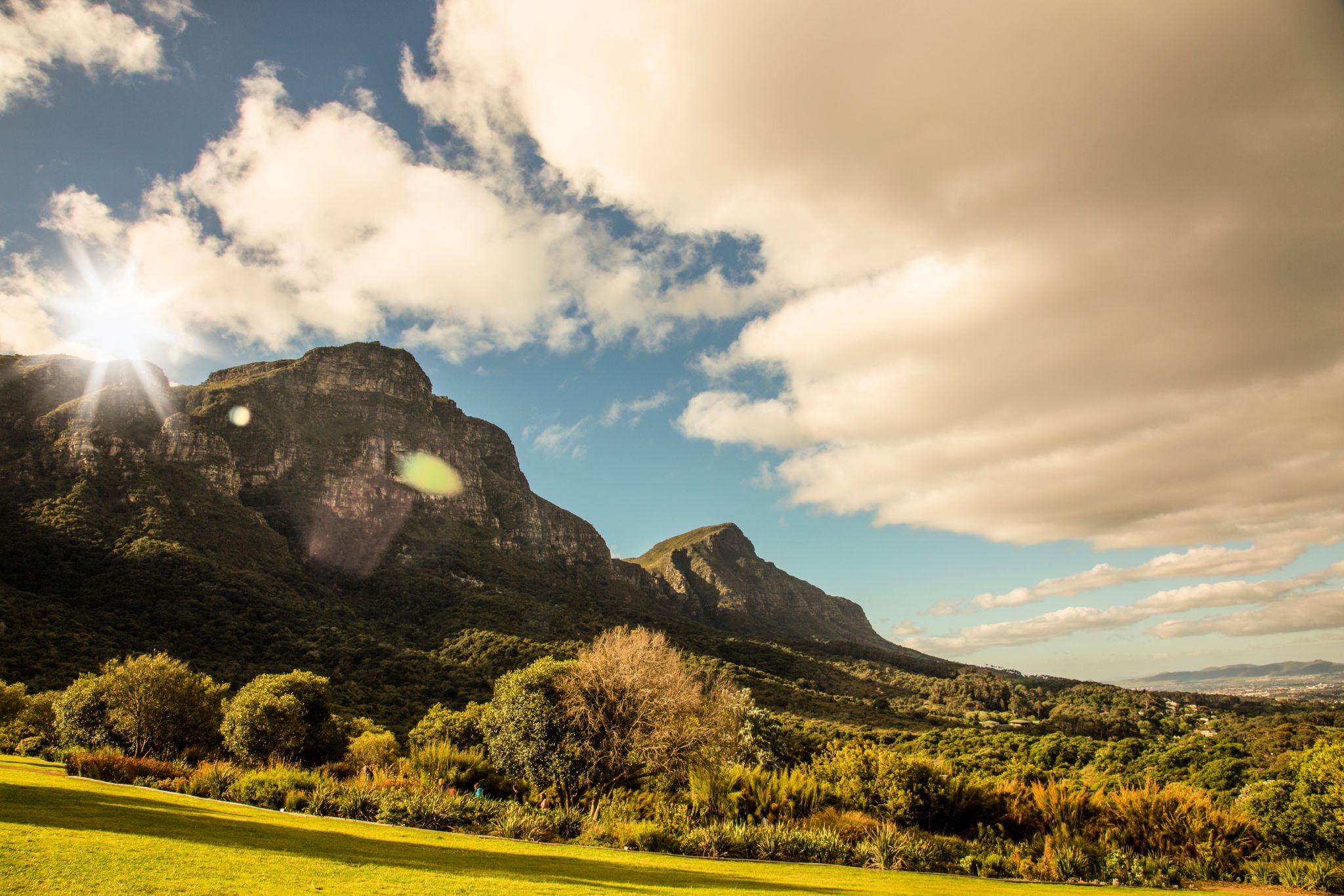 landscape of a field and mountains