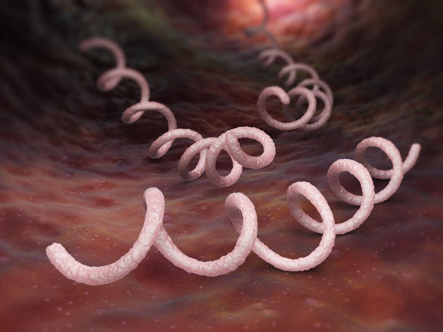 neurosyphilis