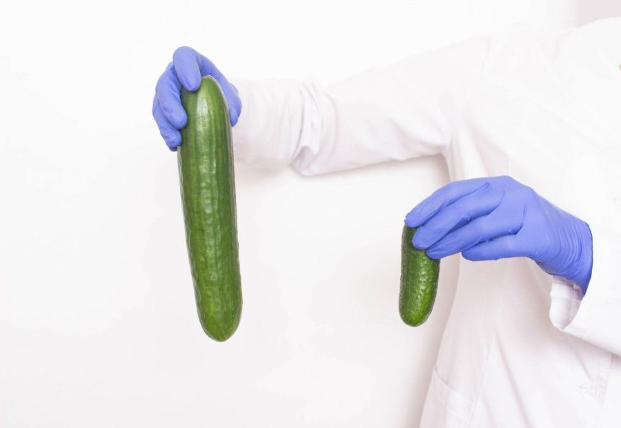laboratory assistant holding a big and a small cucumber