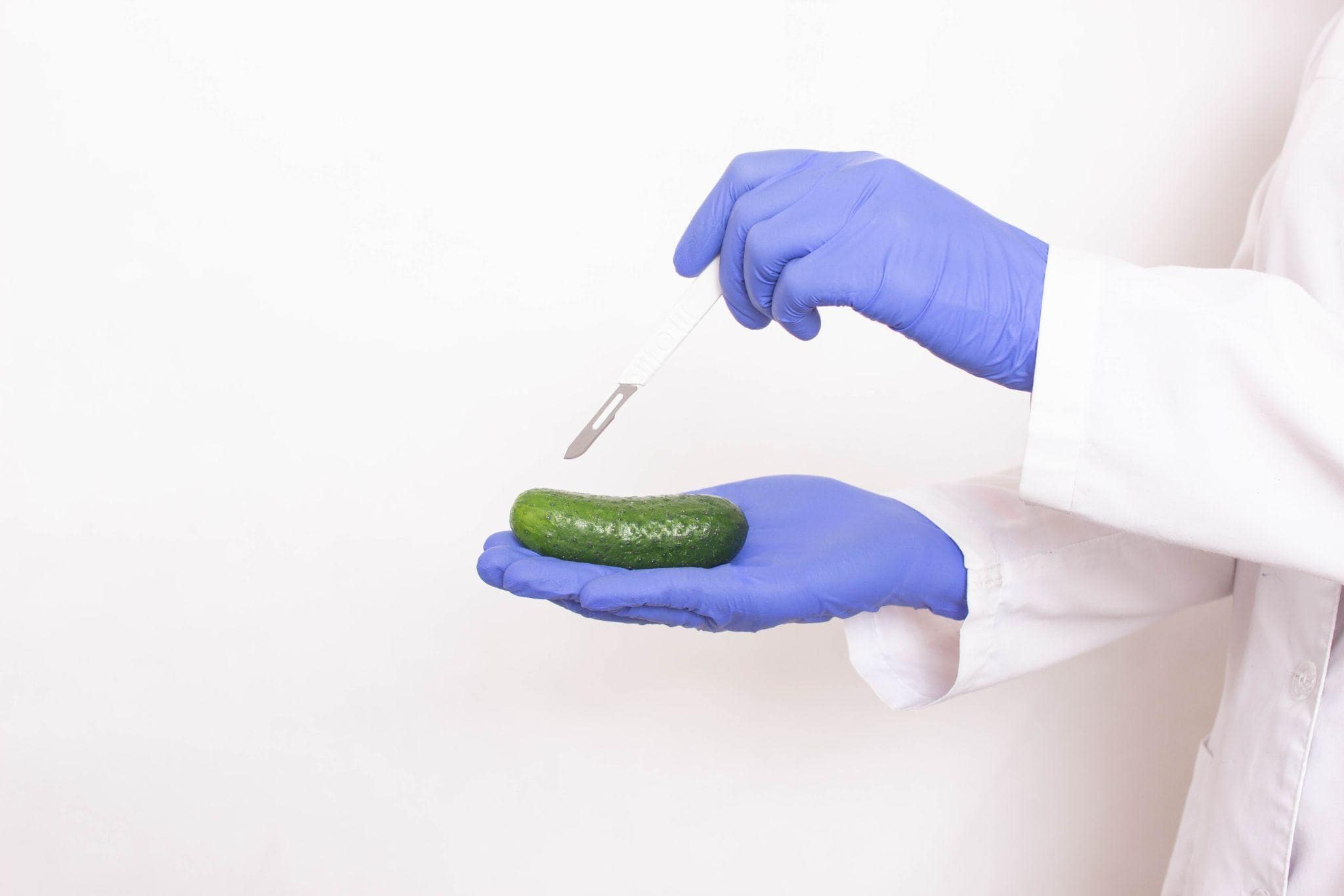 laboratory assistant holding a scalpel next to a cucumber