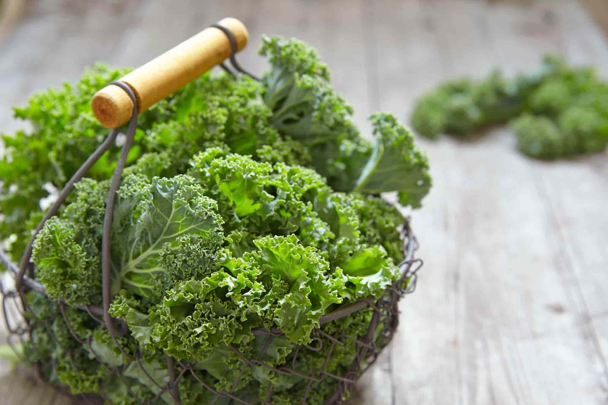 leafy greens