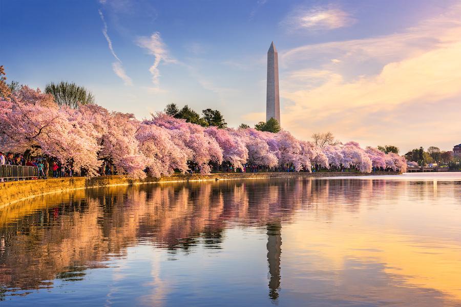 landscape photo of Washington