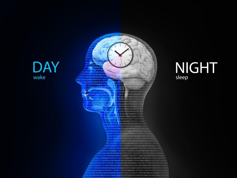 sleep cycle