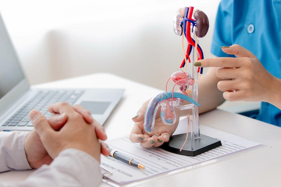 doctors explaining penuma penile implant