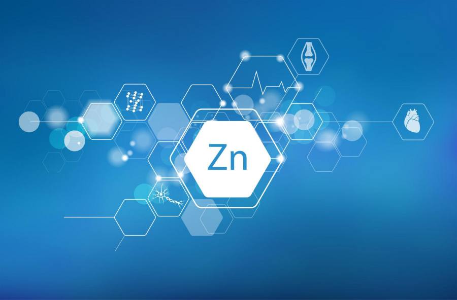 benefits of zinc in the human body