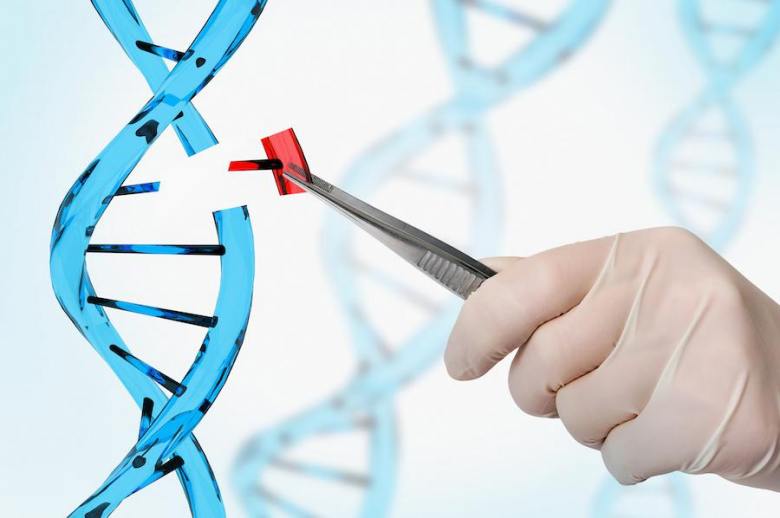 representation of ED in DNA