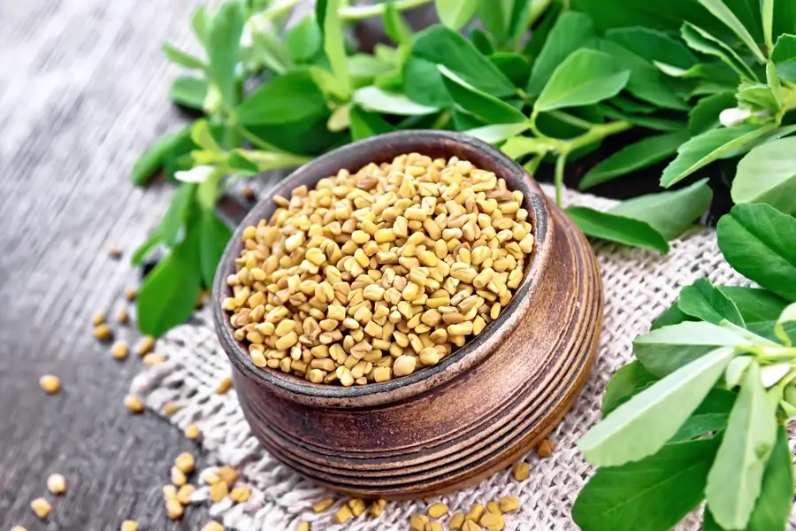 Fenugreek benefits for hair